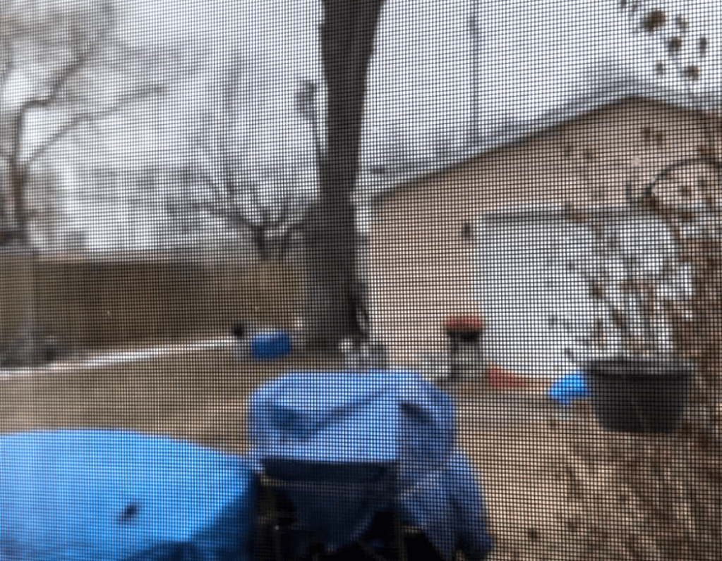 Music: Window seat behind&nbsp;(2025)